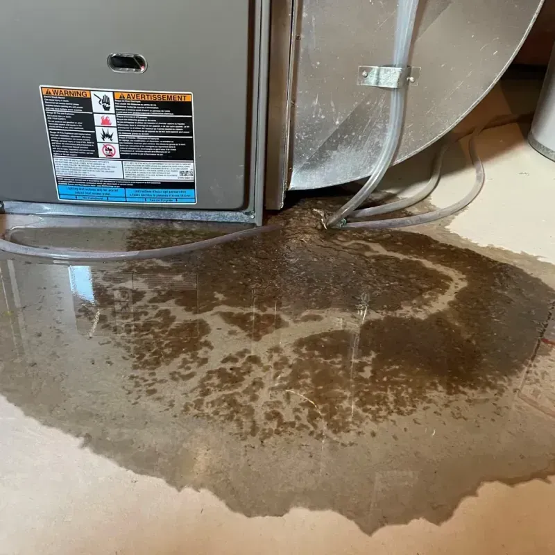 Appliance Leak Cleanup in Clarcona, FL